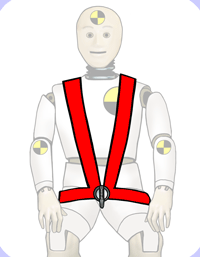 Seat Belt and Harness Layouts
